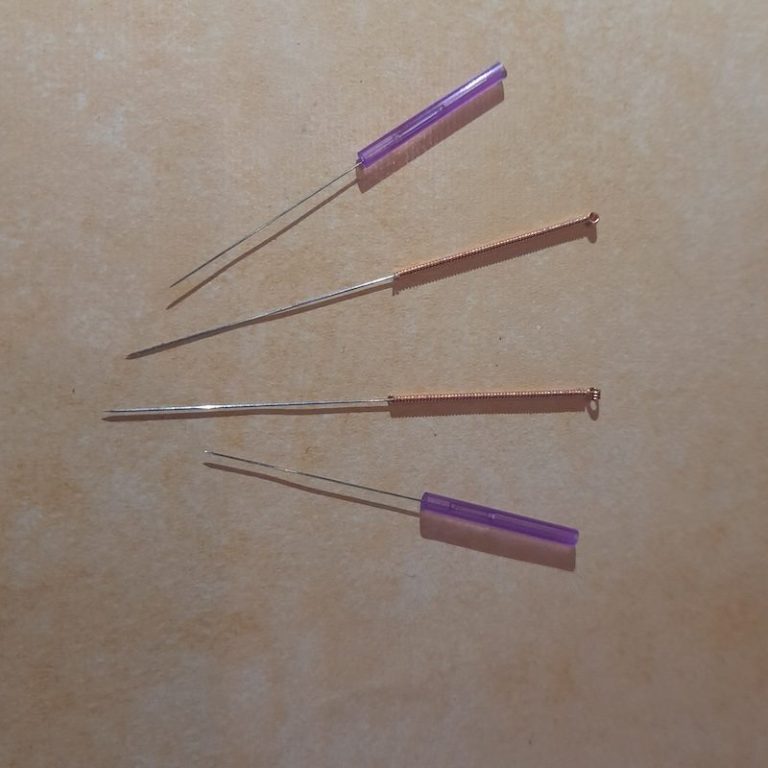 Akupunktur Hund & Pferd Nicole Liebrich Köln Akupunktur Tiere Nadeln und Laser Nicole Liebrich